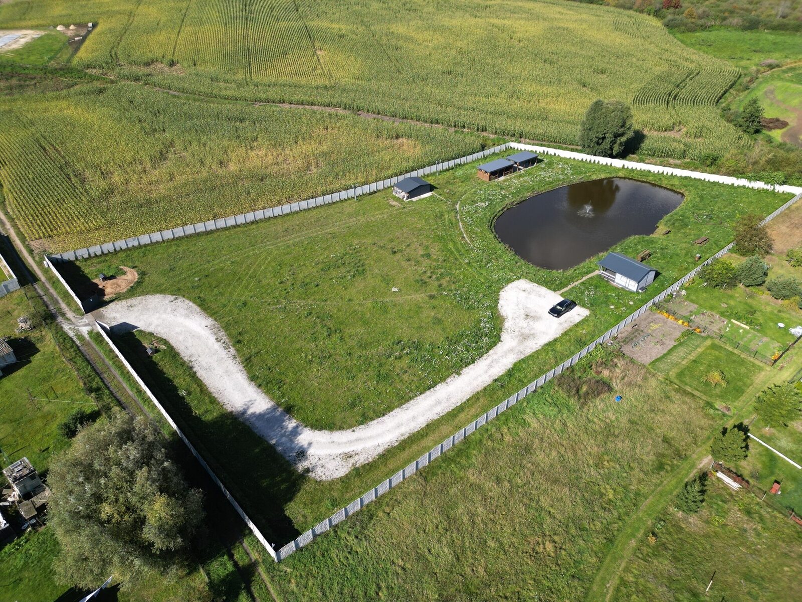 Zdjęcie 15