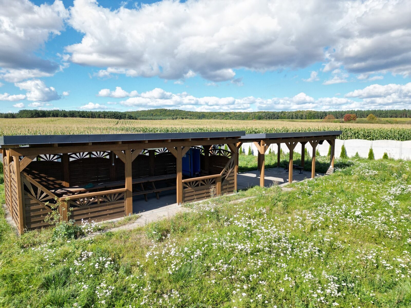 Zdjęcie 25