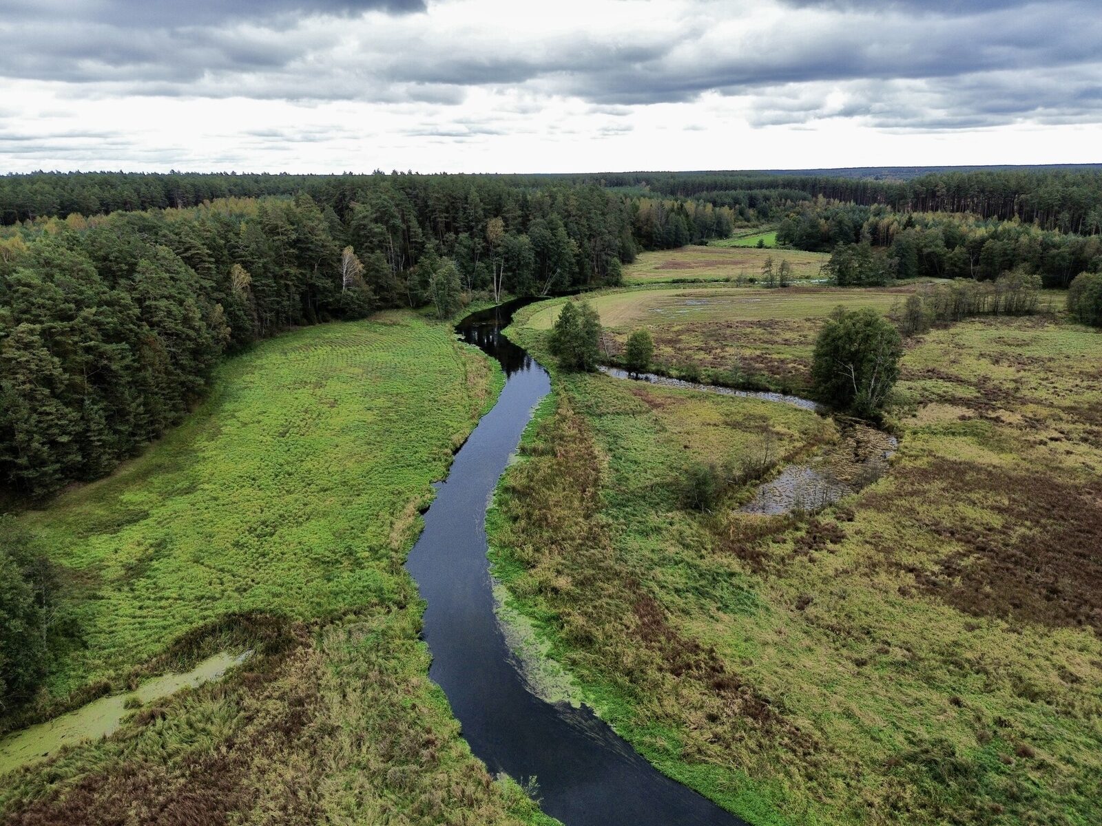 Zdjęcie 8