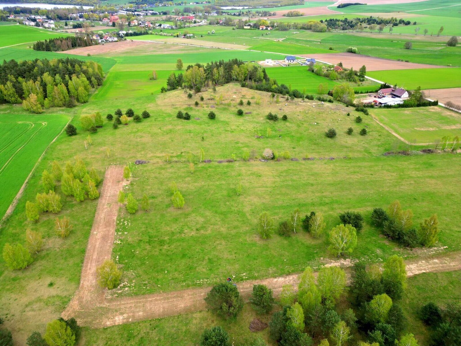 Zdjęcie 5