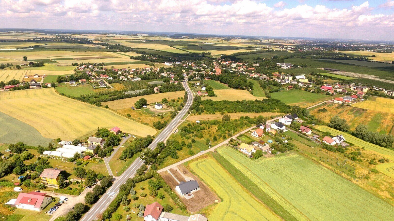 Zdjęcie 7