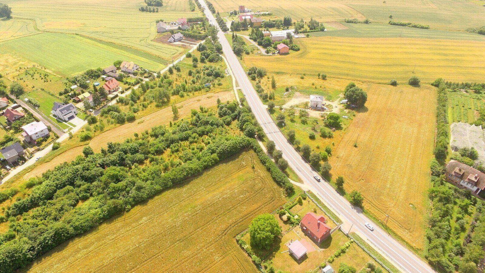 Zdjęcie 8