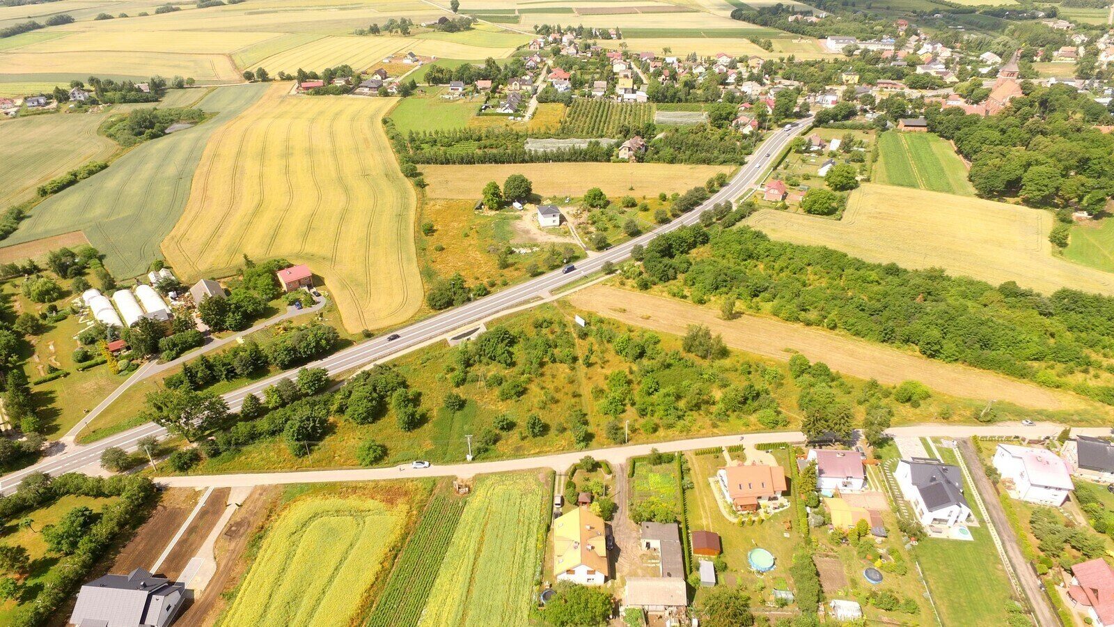 Zdjęcie 10