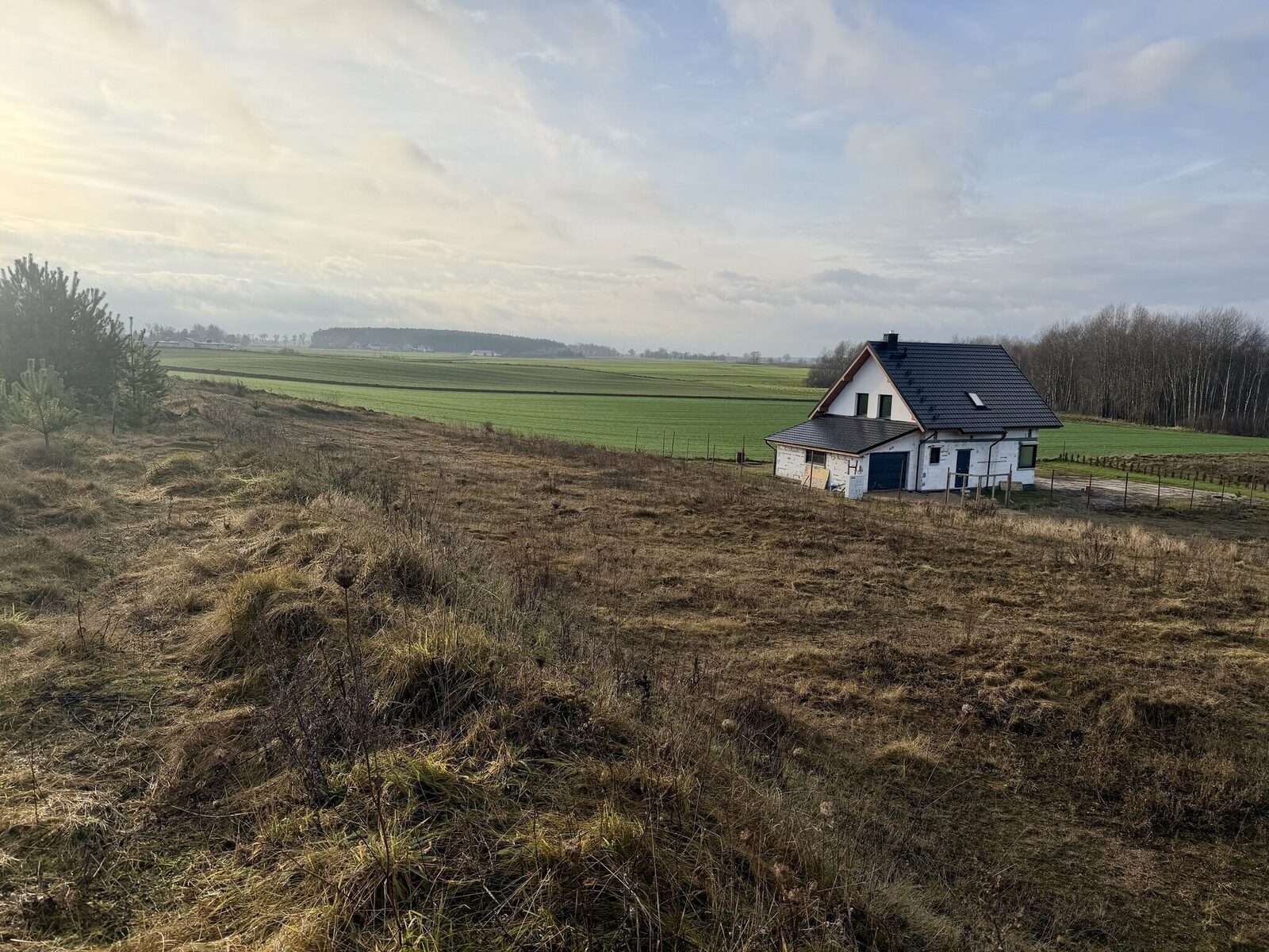 Zdjęcie 6