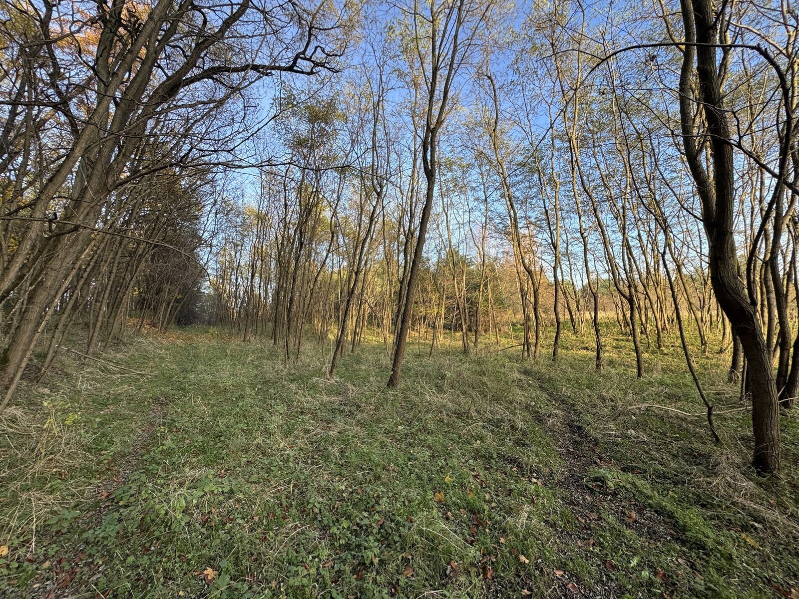 Zdjęcie 8