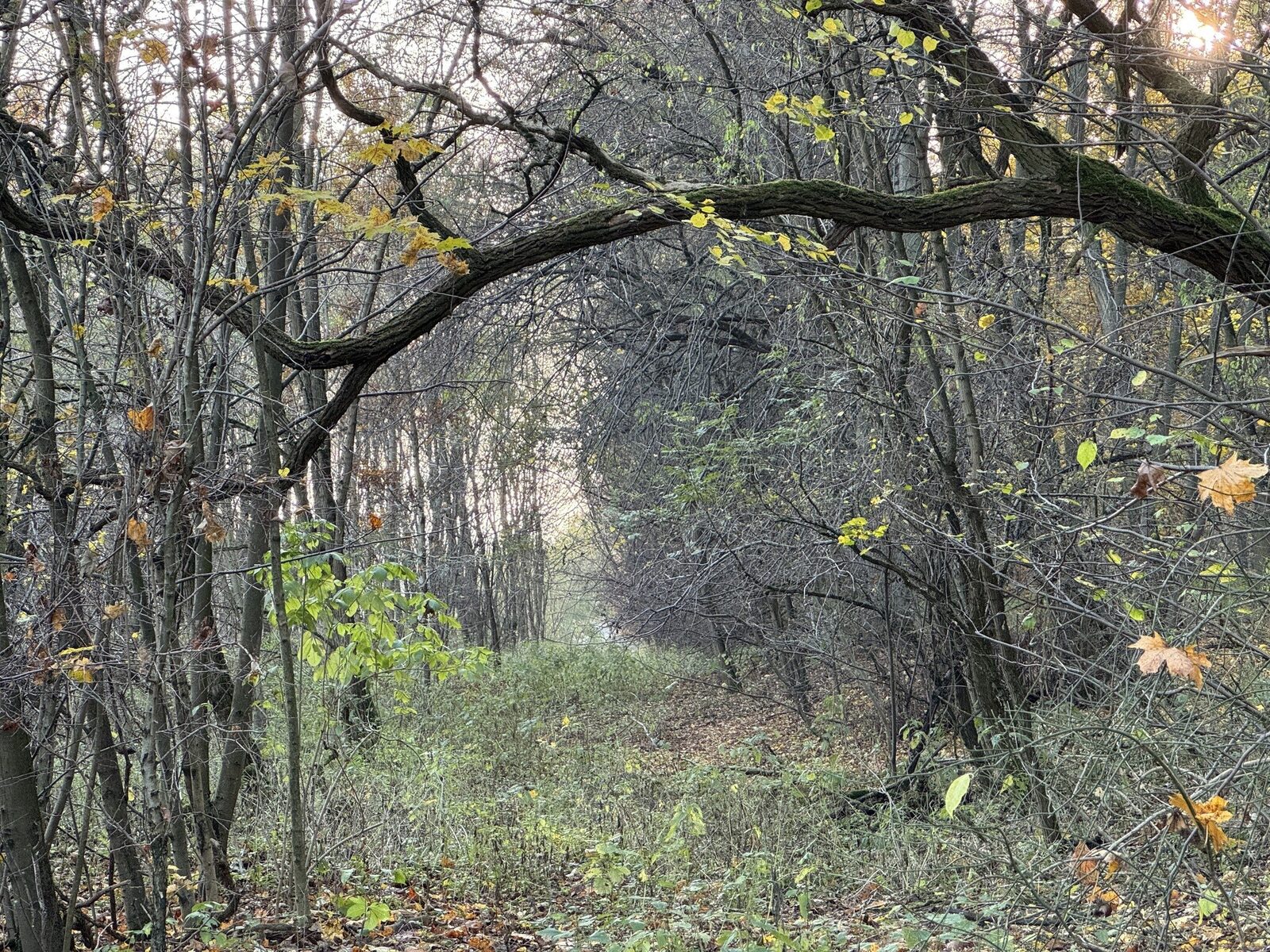 Zdjęcie 11