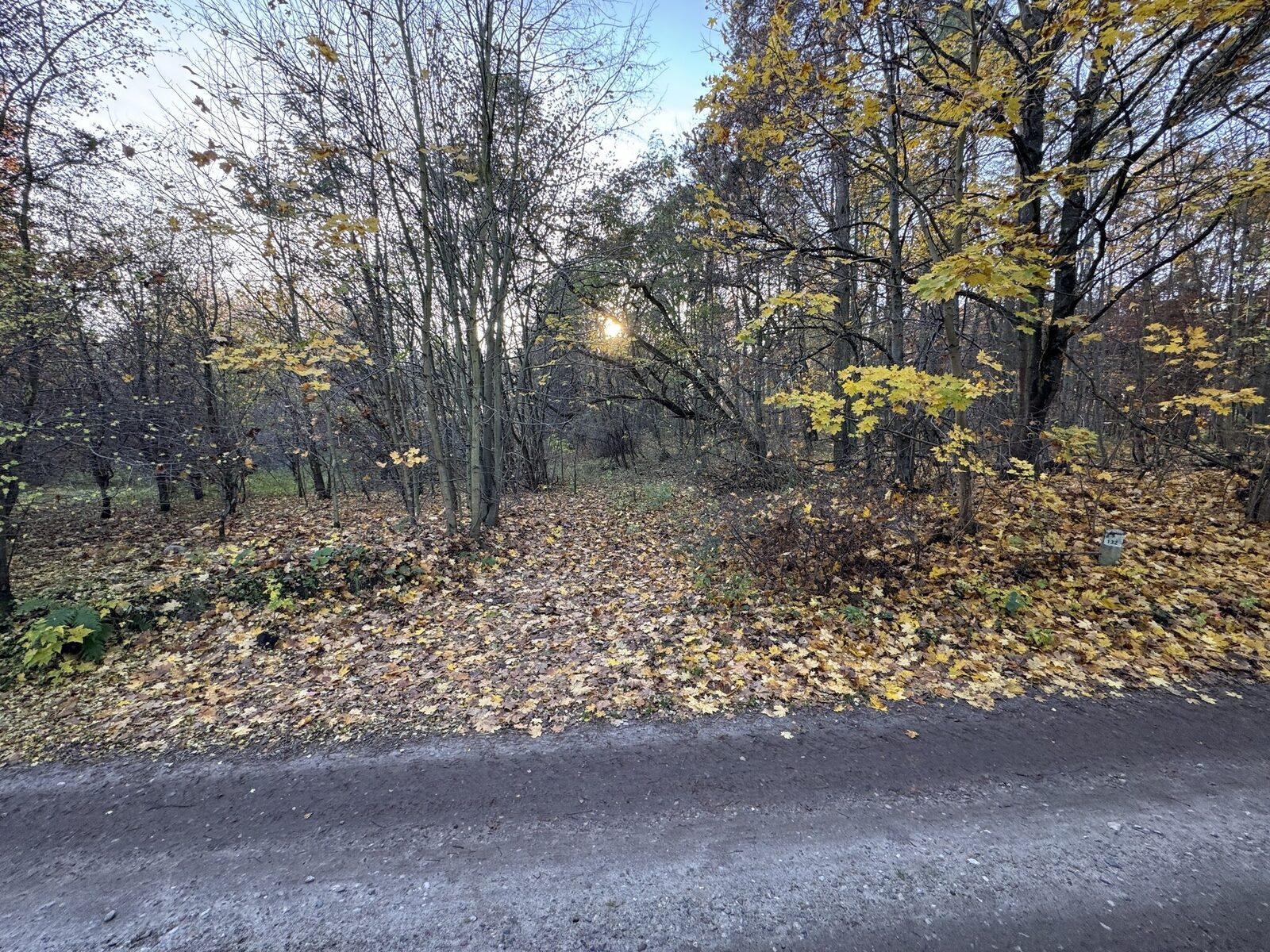 Zdjęcie 12