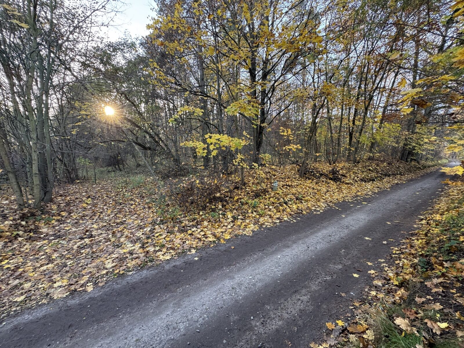 Zdjęcie 13
