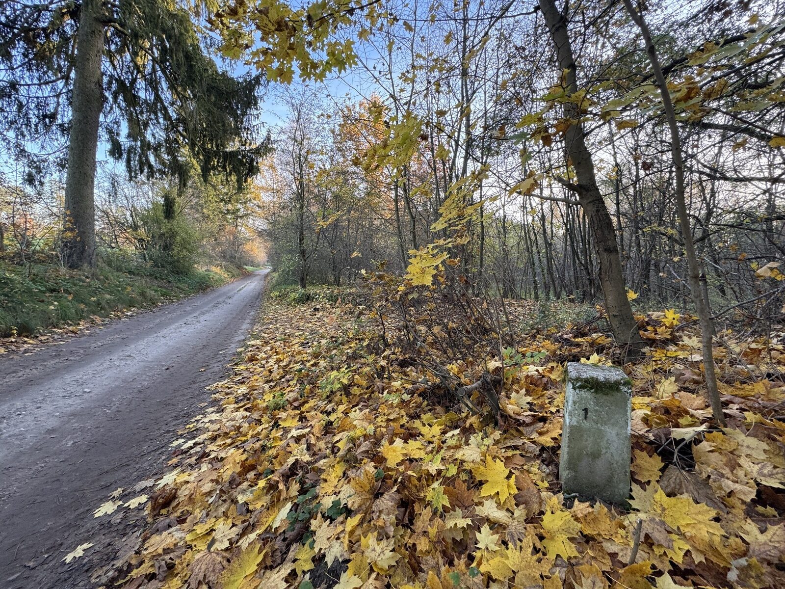 Zdjęcie 14