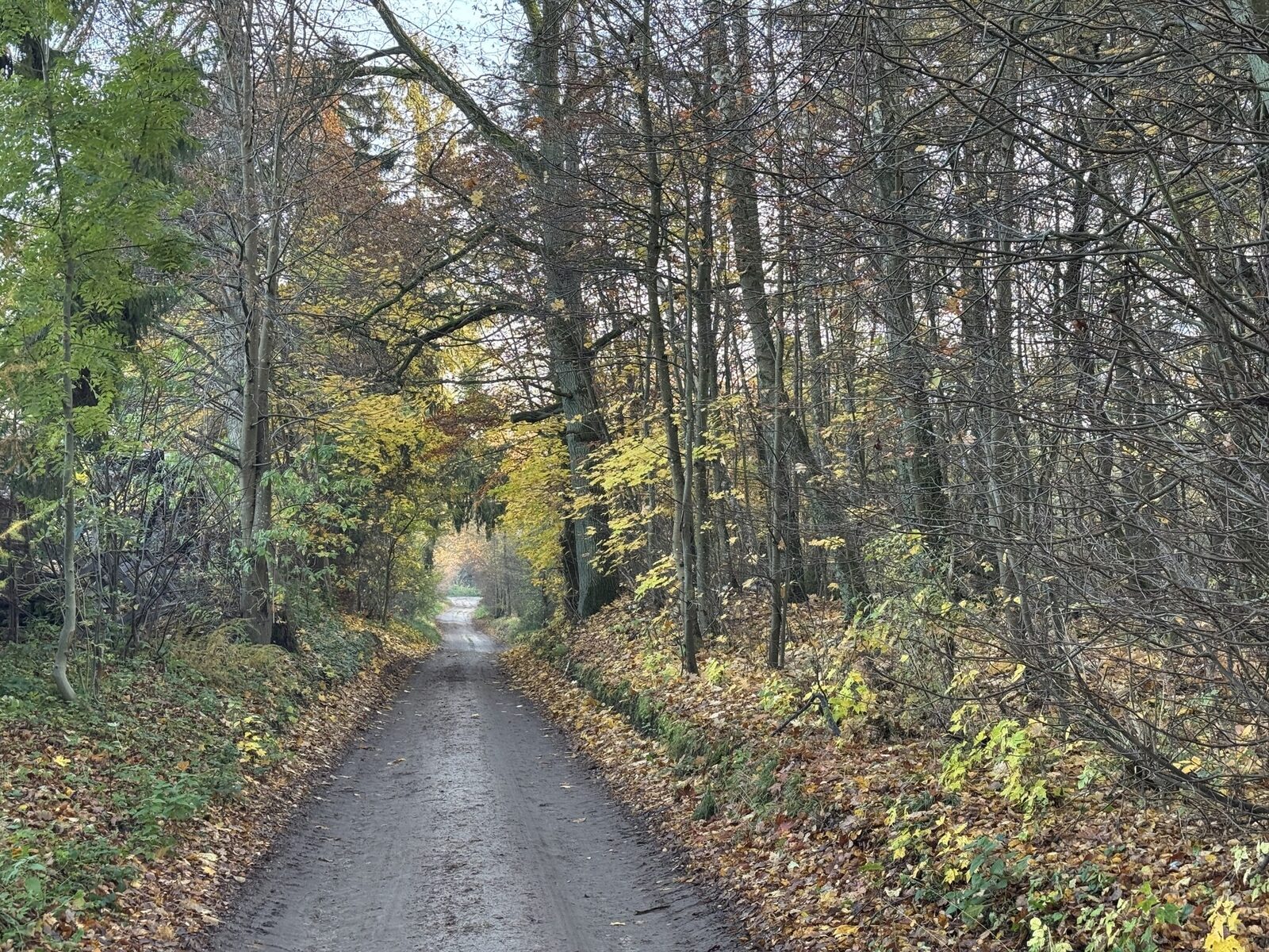 Zdjęcie 17