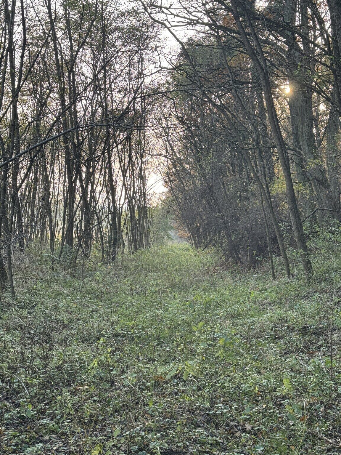 Zdjęcie 10