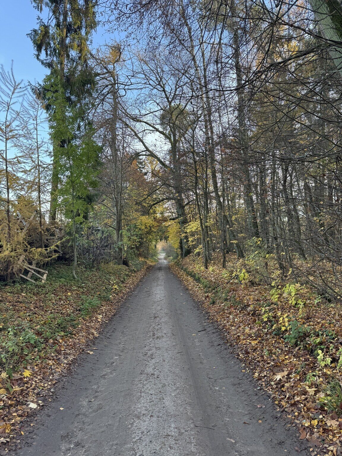 Zdjęcie 15