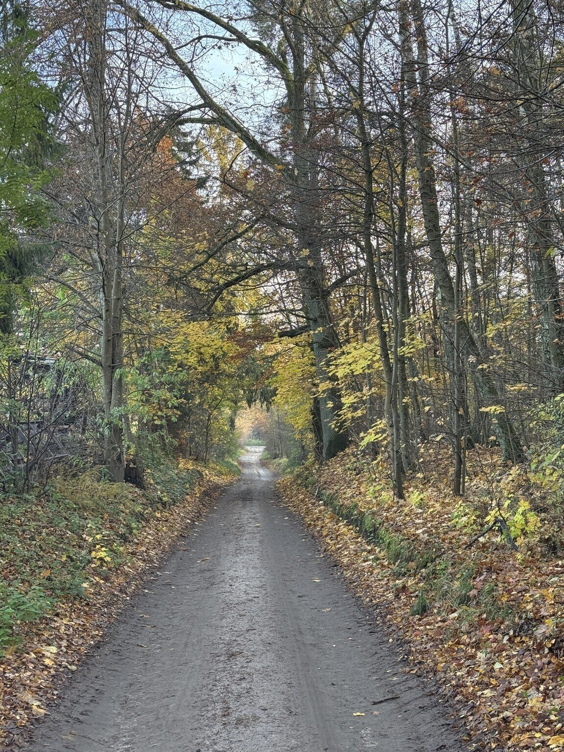 Zdjęcie 16
