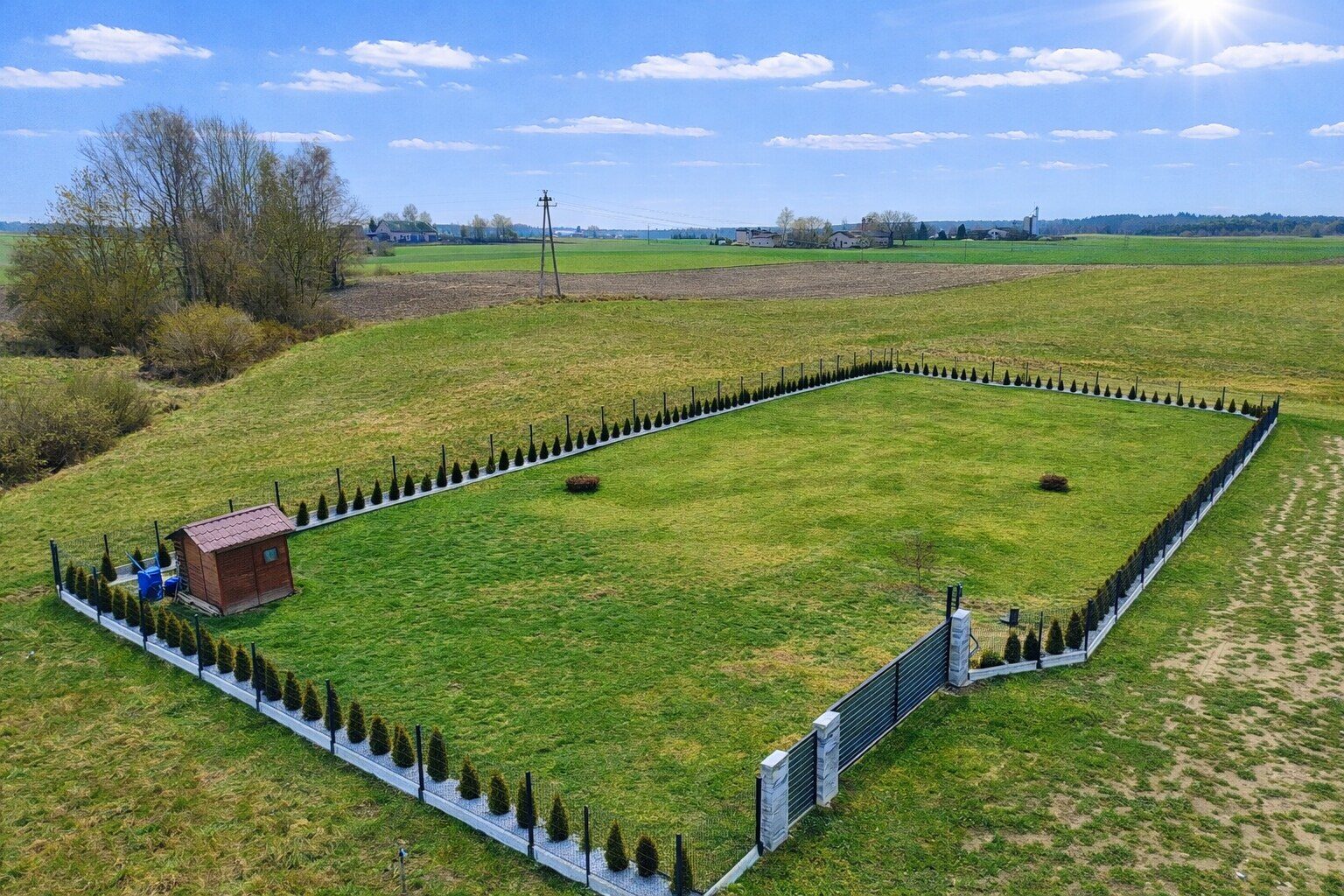 Zdjęcie 11
