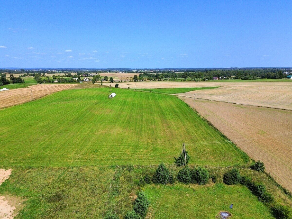 Zdjęcie 10