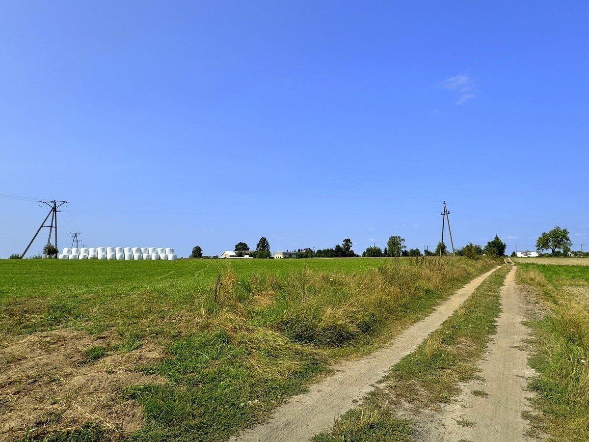Zdjęcie 11