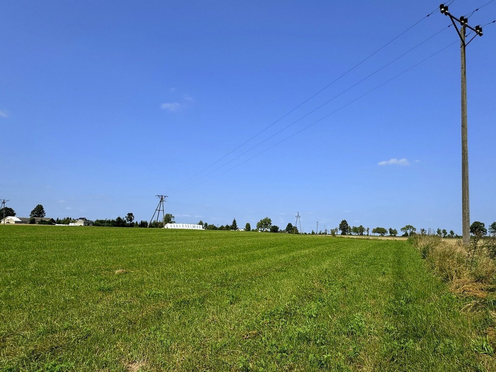 Zdjęcie 17