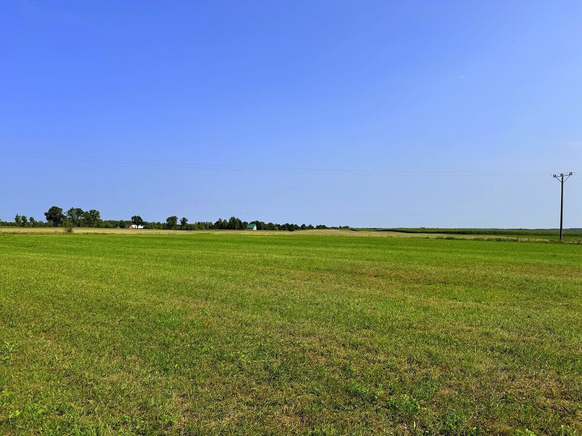 Zdjęcie 18