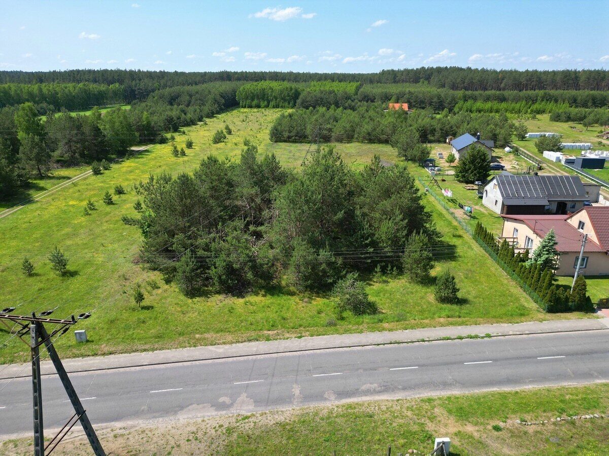 Zdjęcie 11