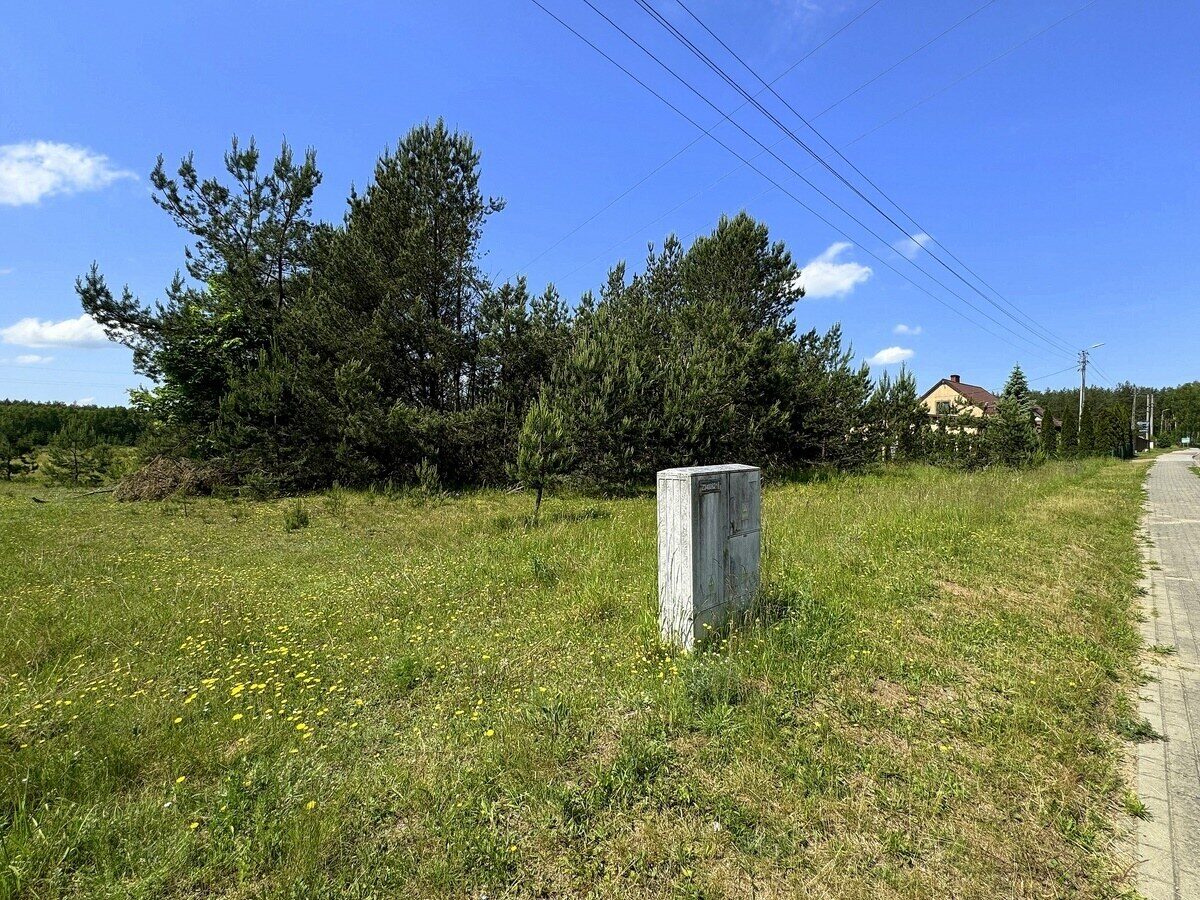 Zdjęcie 13