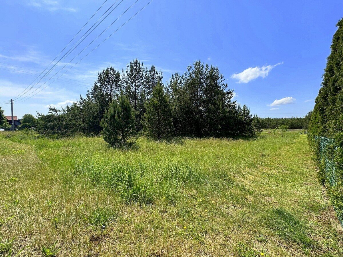 Zdjęcie 18