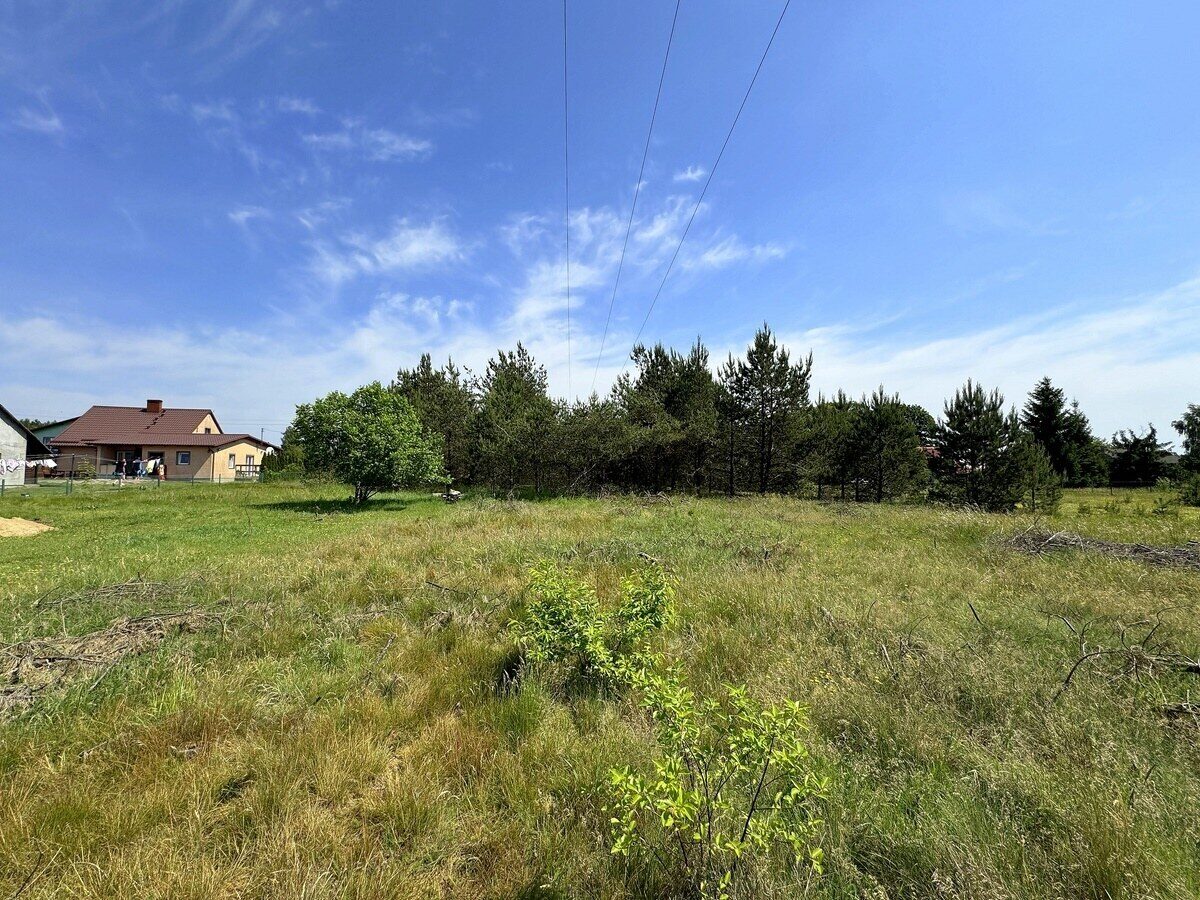 Zdjęcie 19
