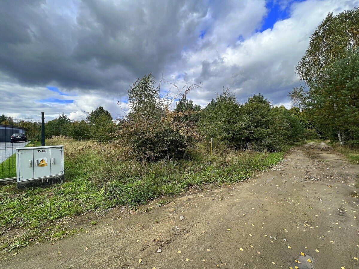 Zdjęcie 11