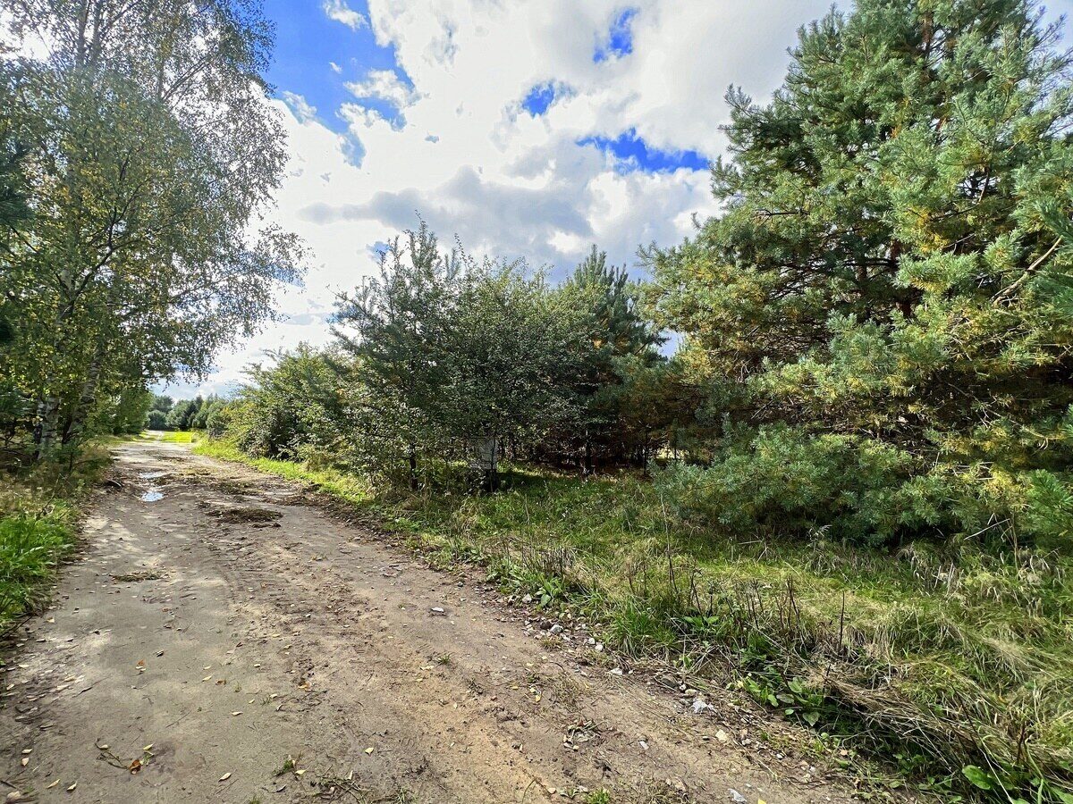 Zdjęcie 14