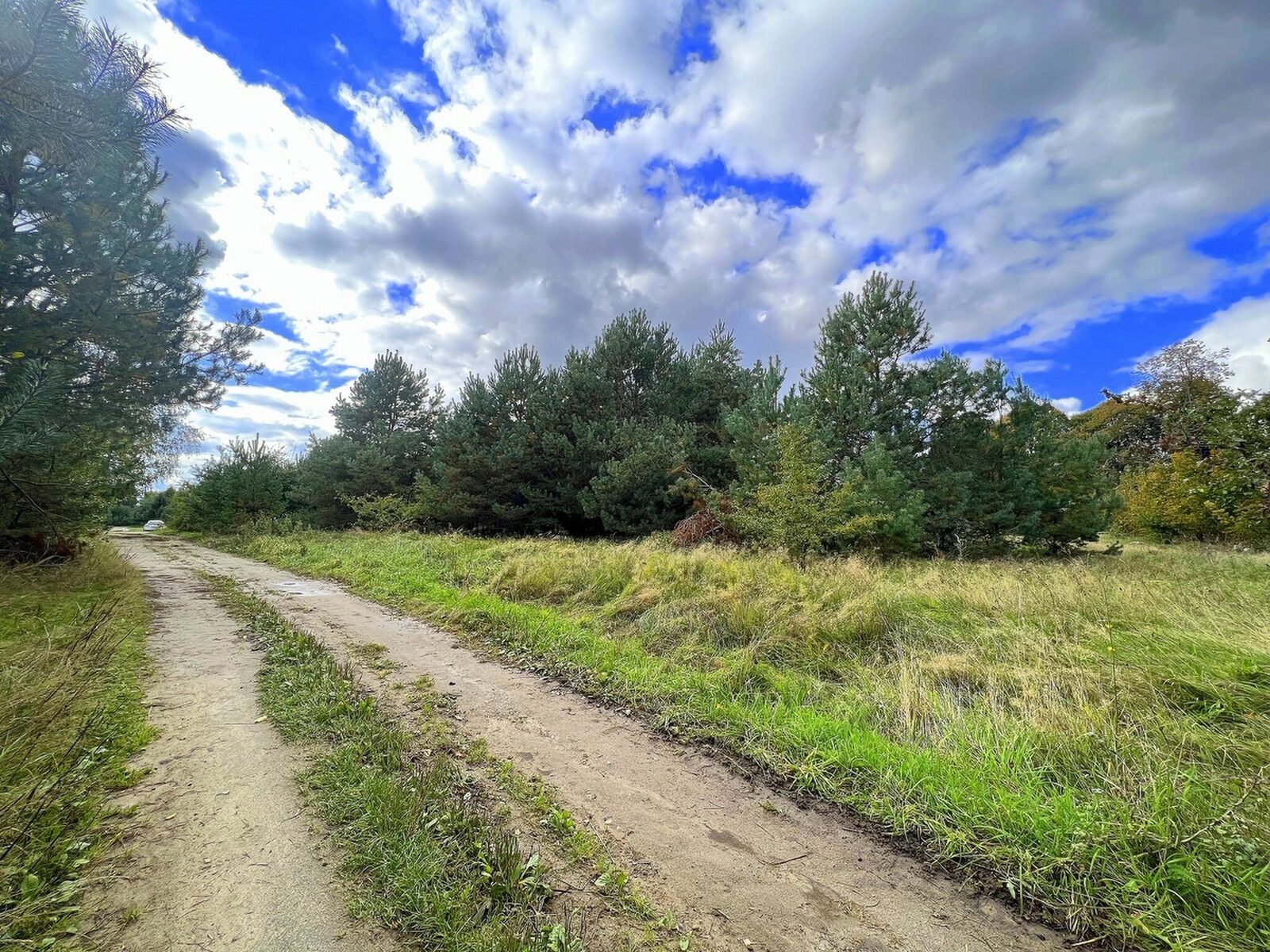 Zdjęcie 15