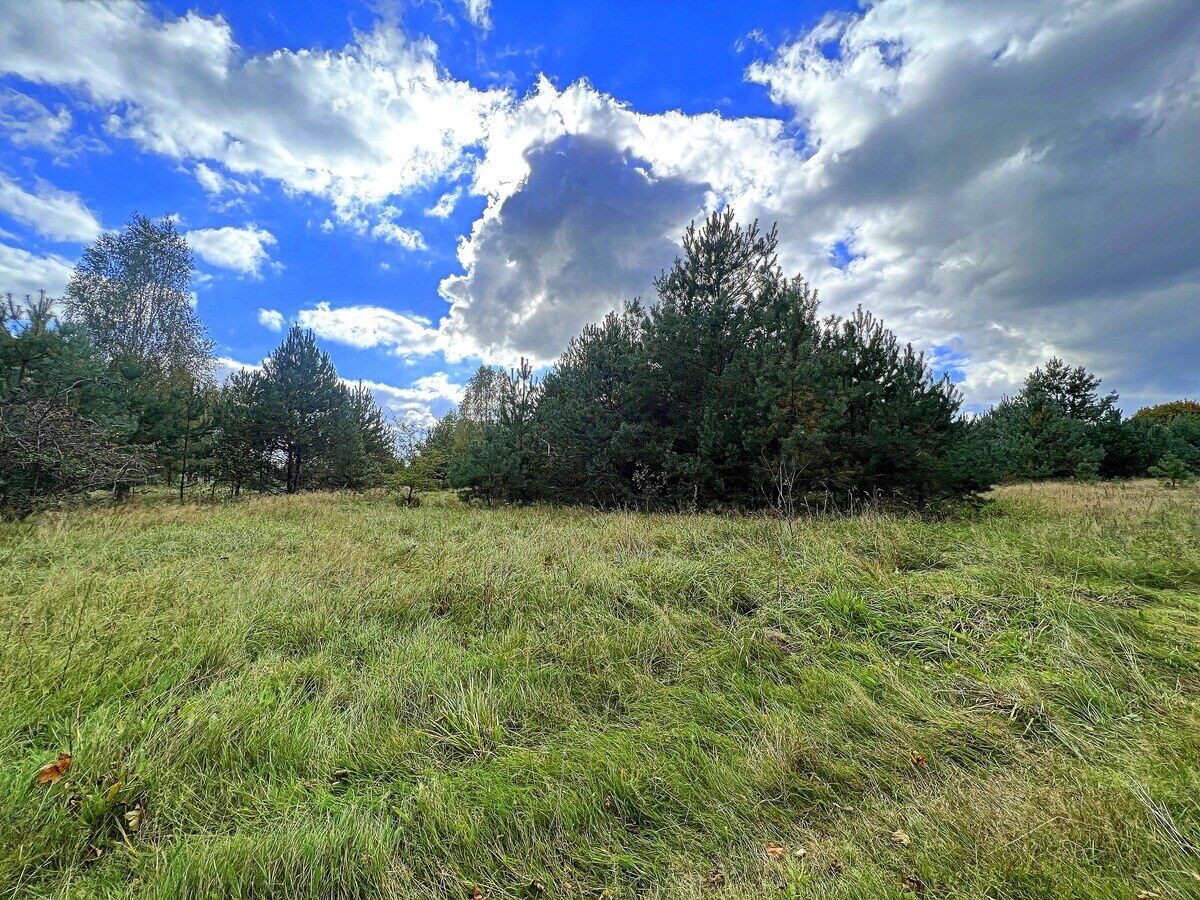 Zdjęcie 17