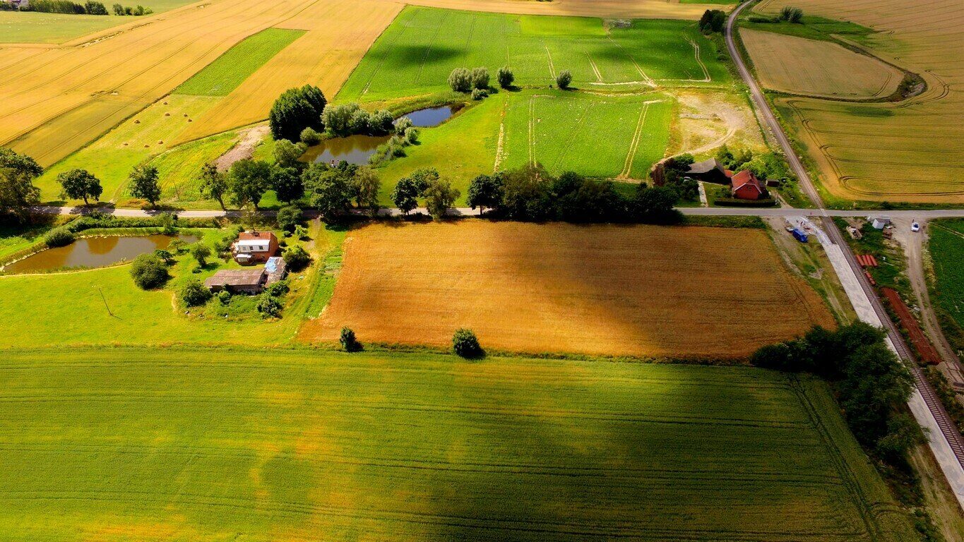 Zdjęcie 3