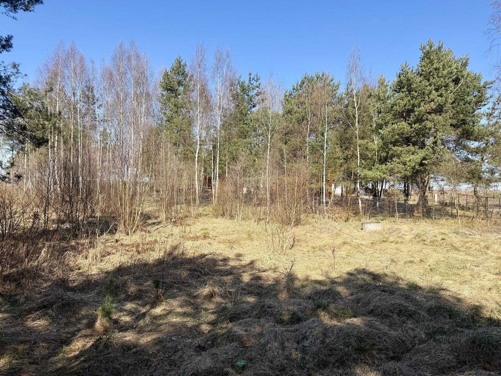 Zdjęcie 11