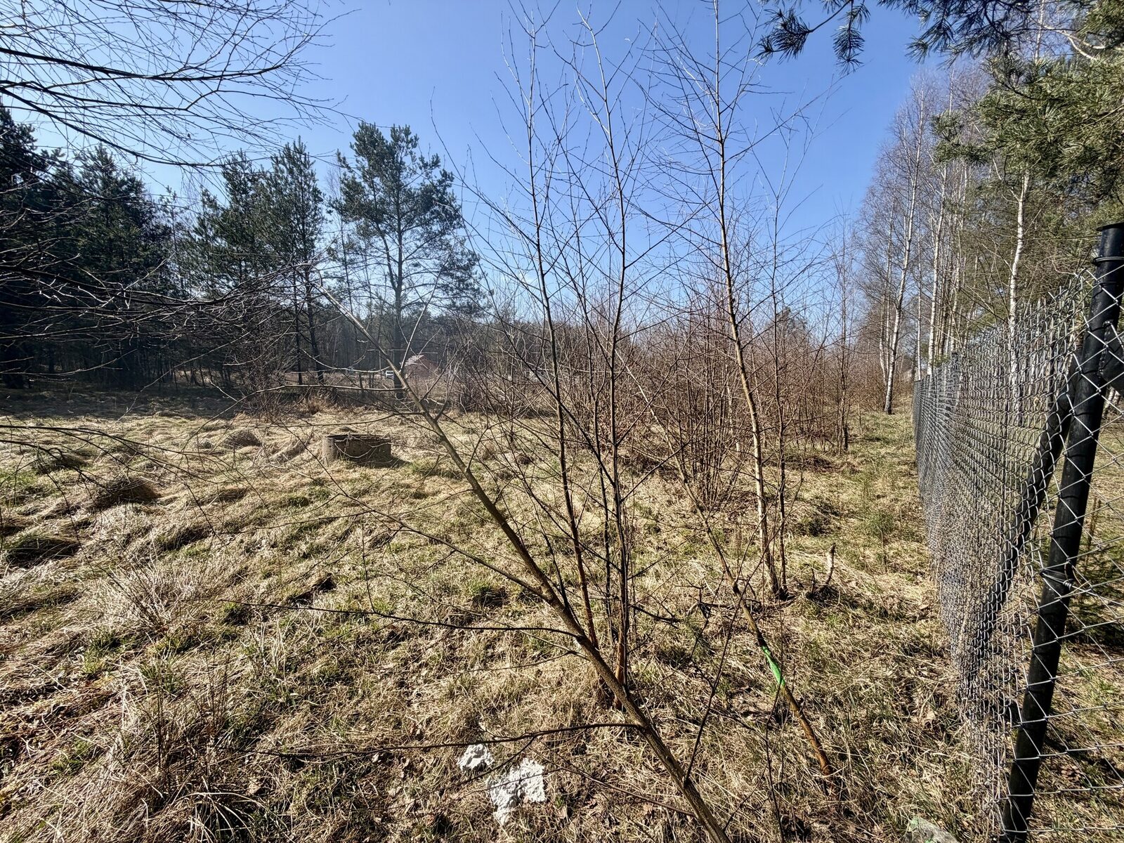 Zdjęcie 12