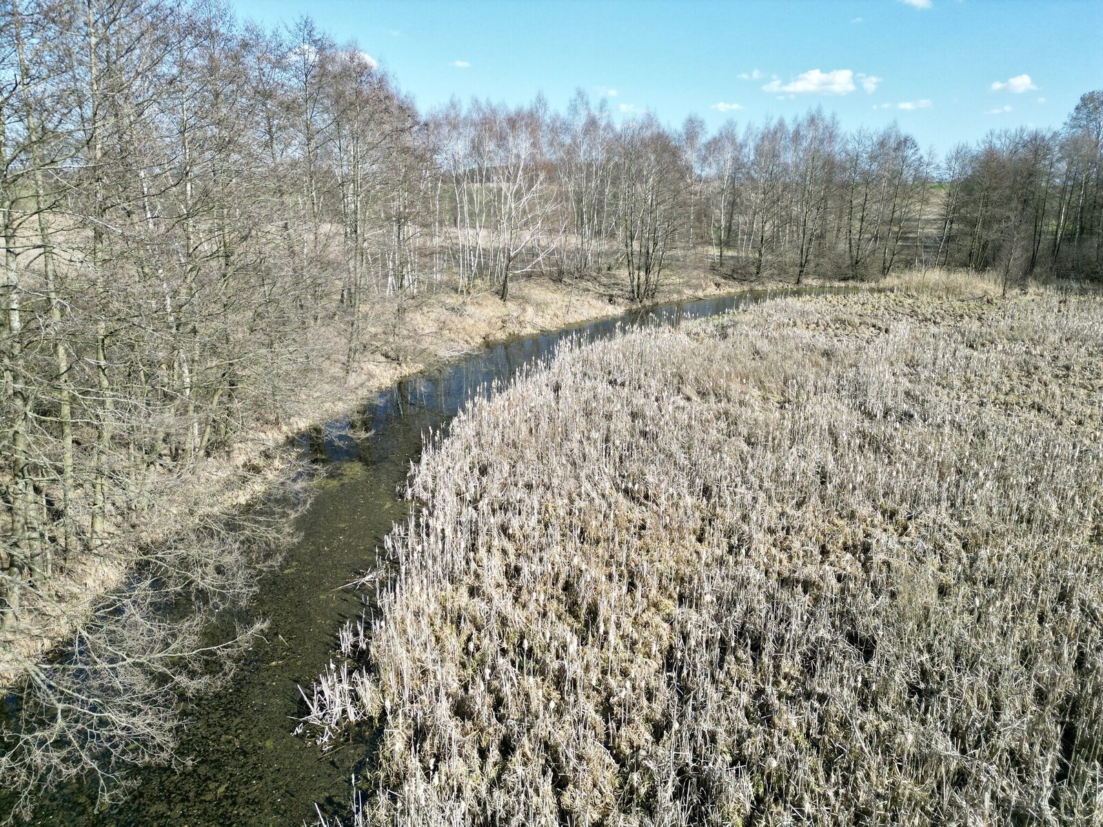 Zdjęcie 6