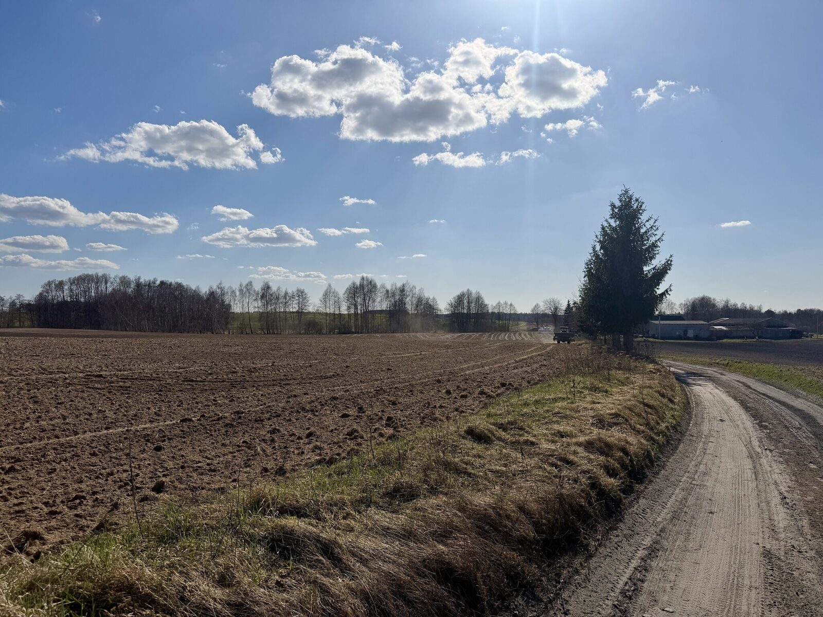 Zdjęcie 8