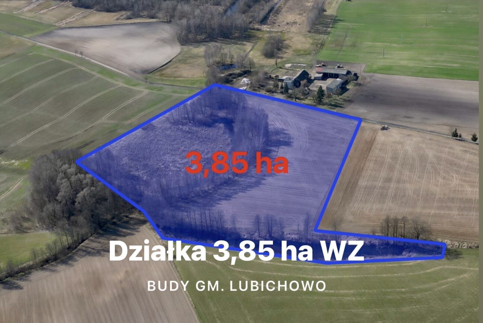 Zdjęcie 1
