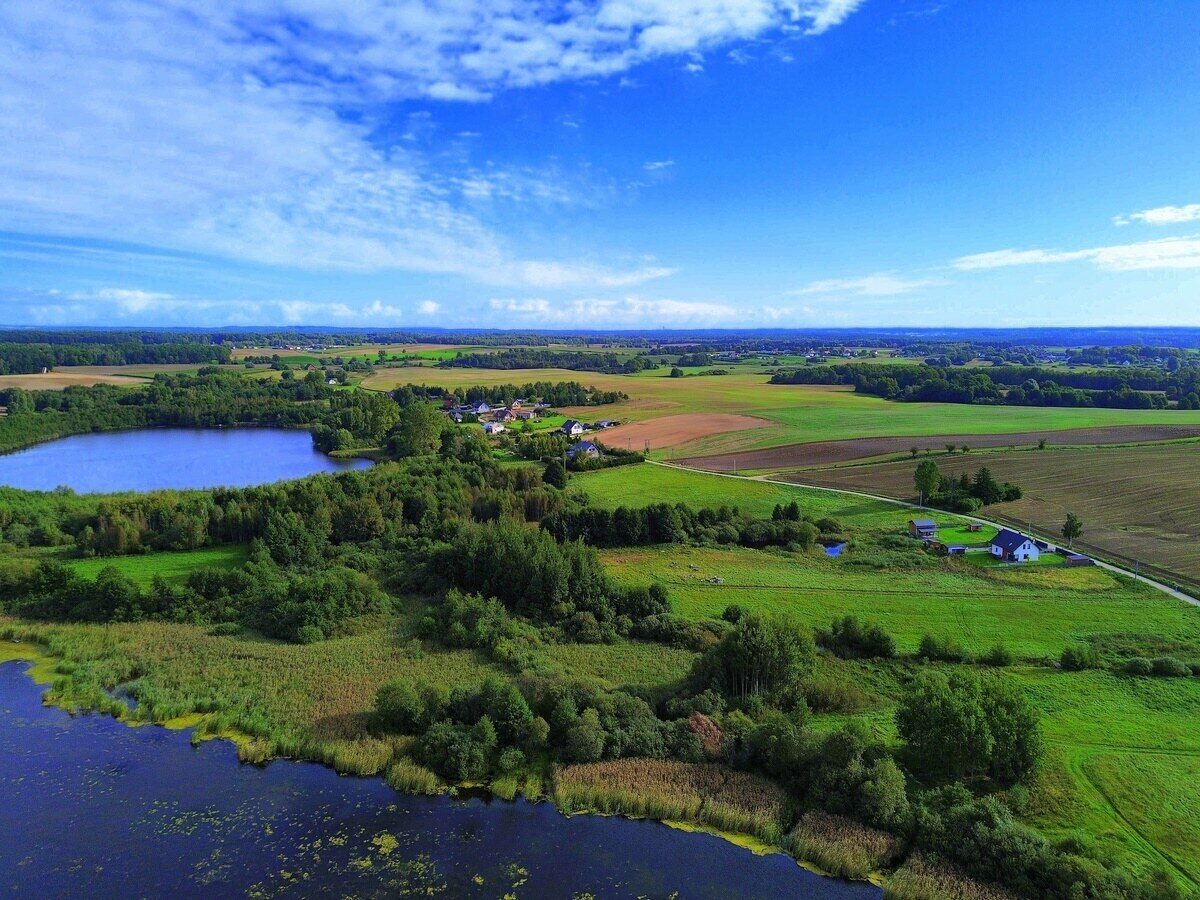 Zdjęcie 6