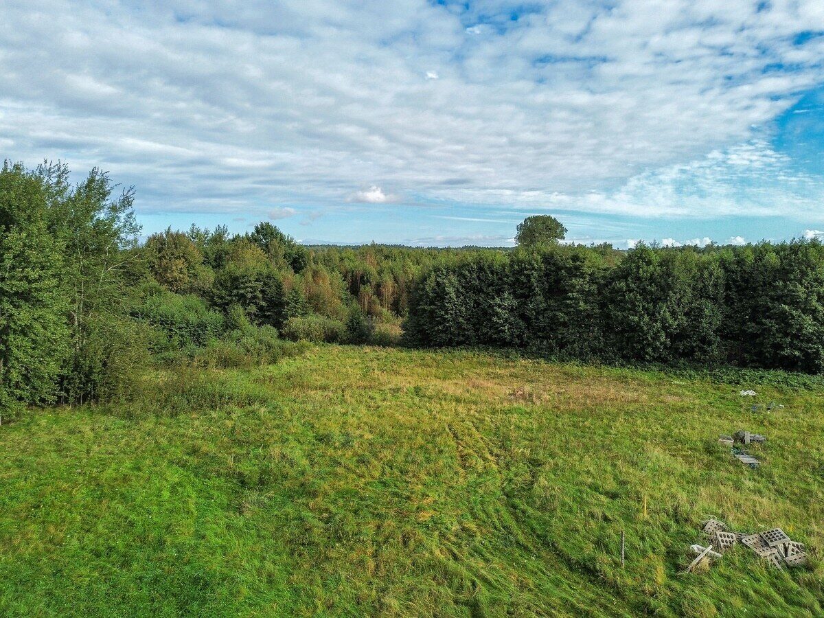 Zdjęcie 10