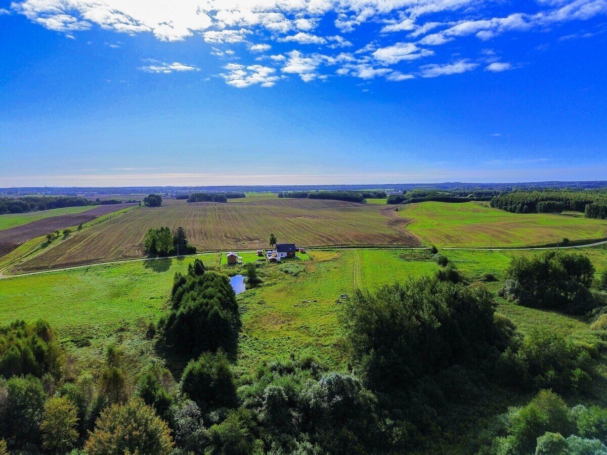 Zdjęcie 11