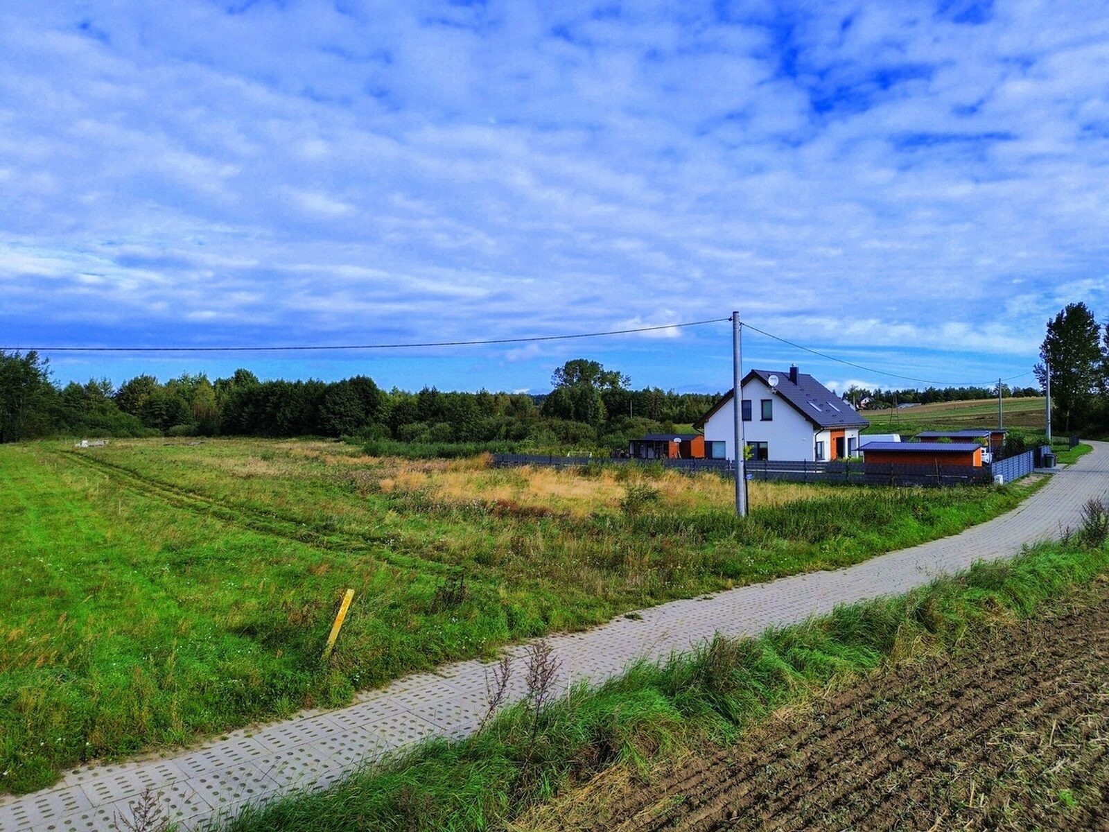 Zdjęcie 12