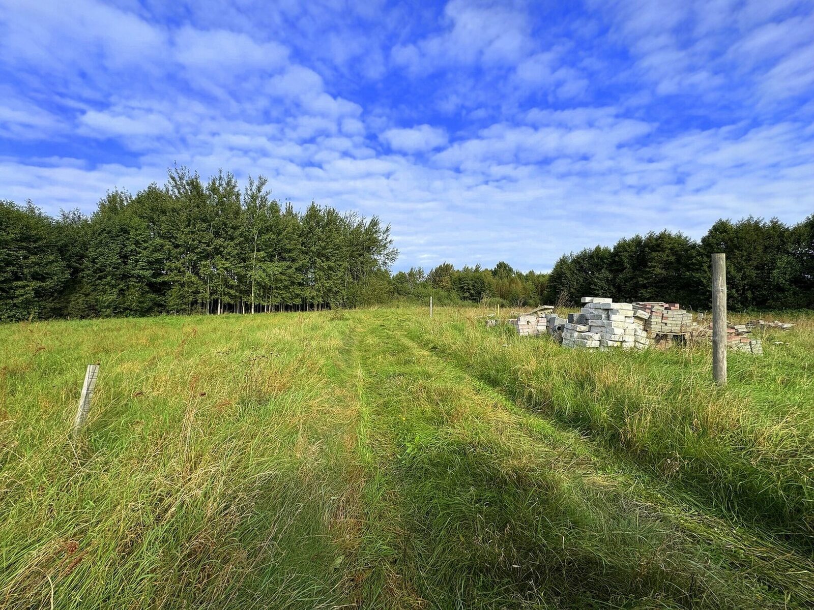 Zdjęcie 17