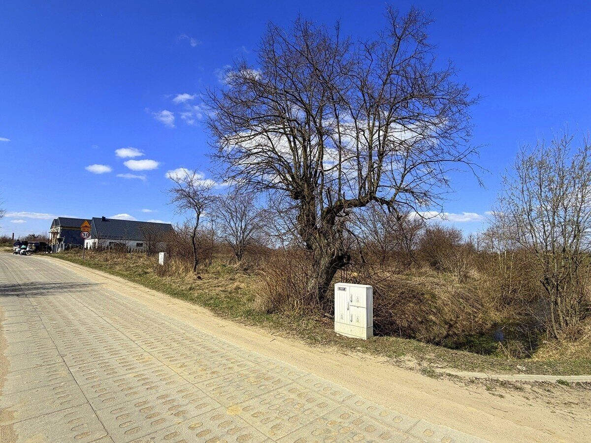 Zdjęcie 11