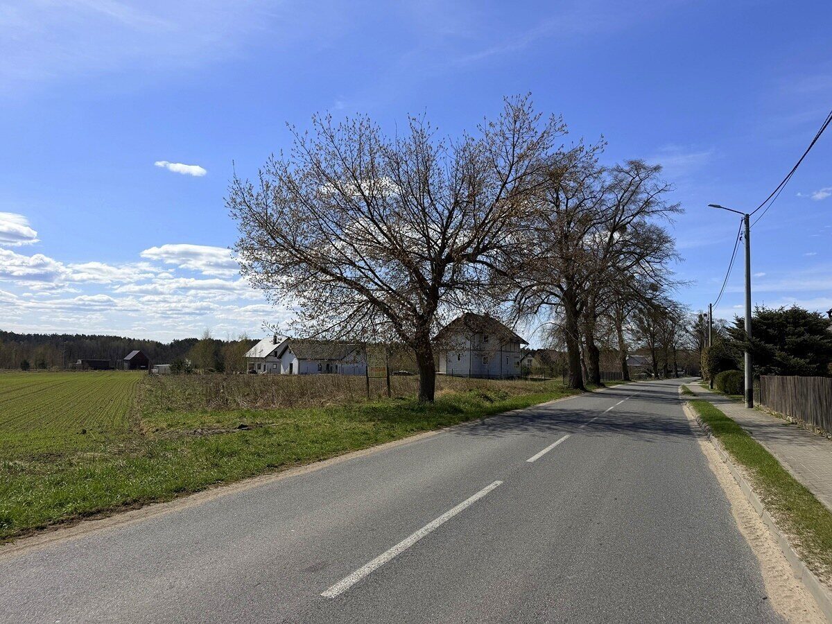 Zdjęcie 10