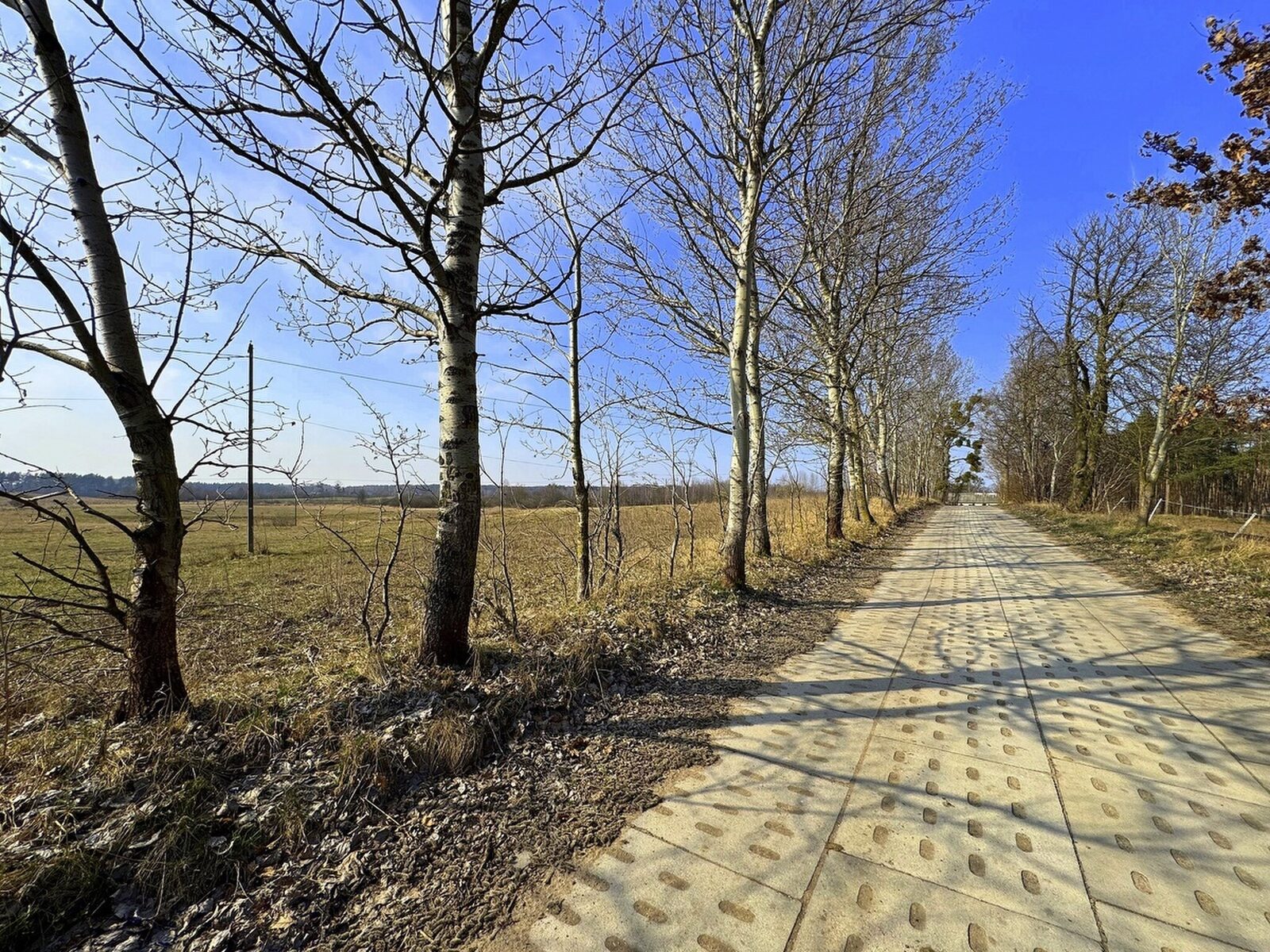 Zdjęcie 12