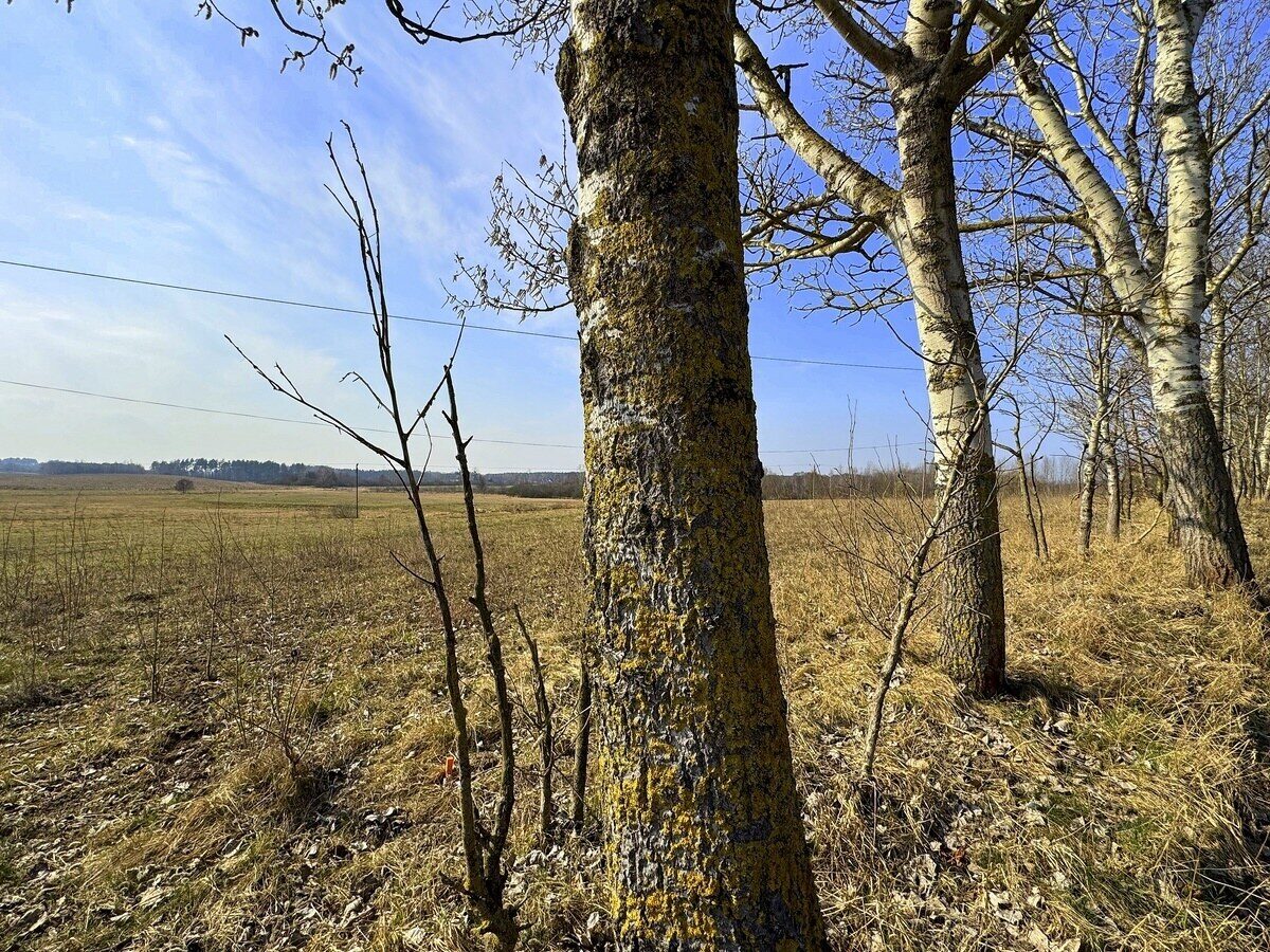 Zdjęcie 13