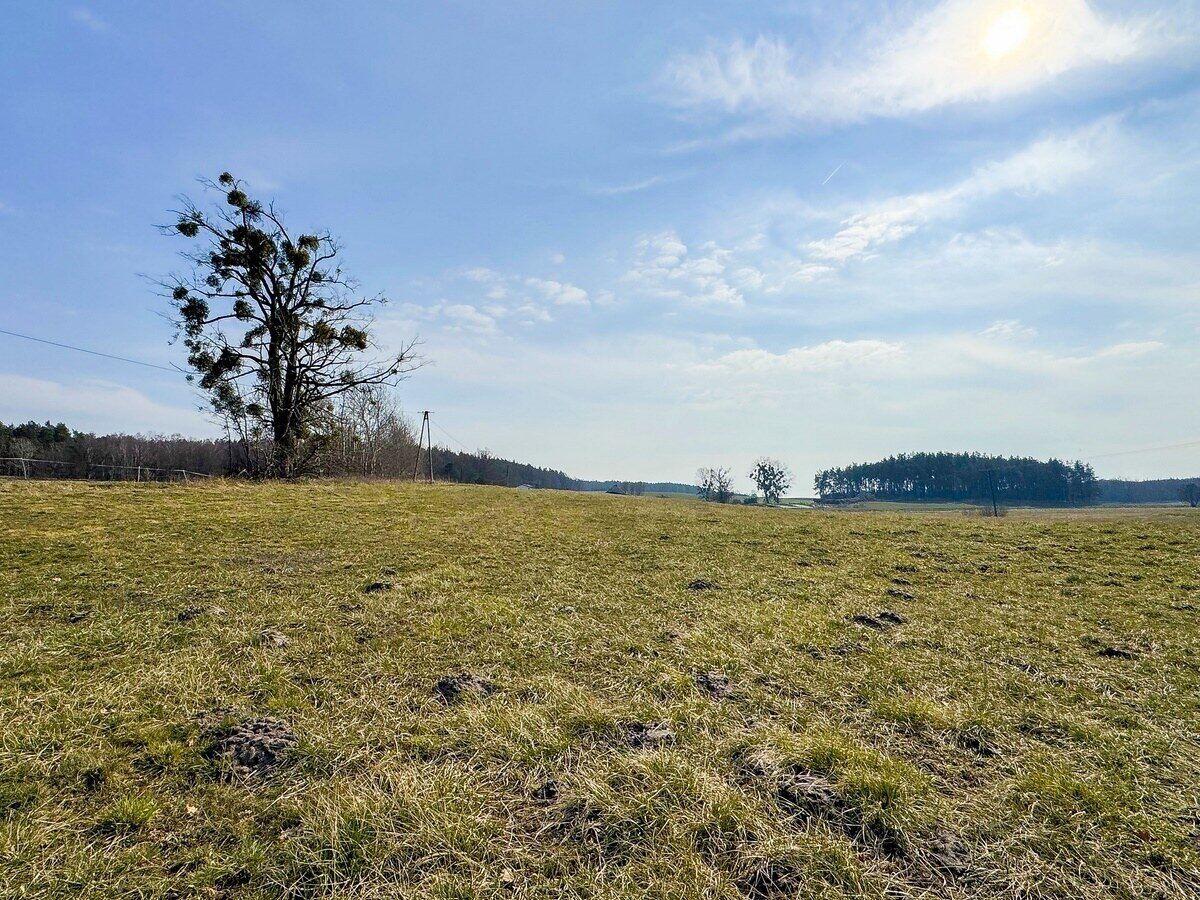 Zdjęcie 18
