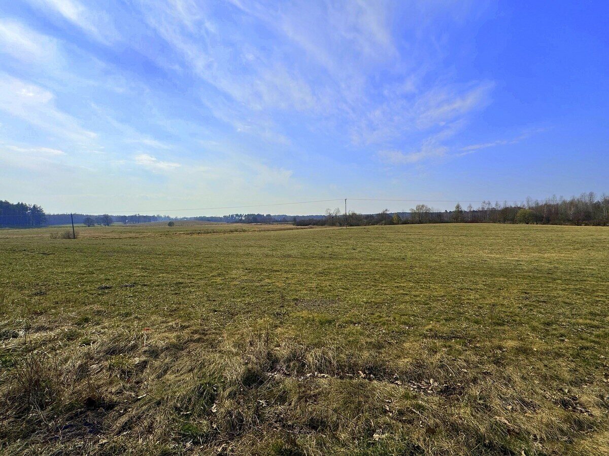 Zdjęcie 19