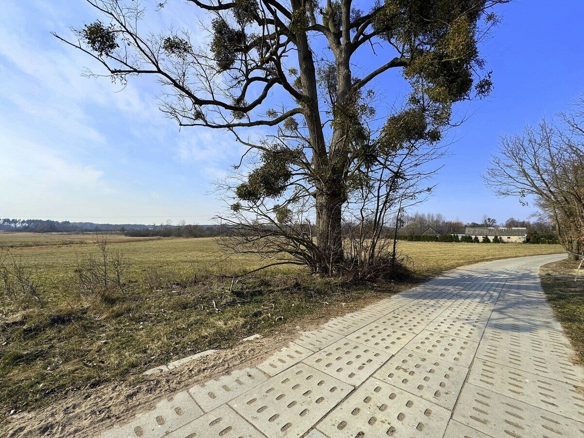 Zdjęcie 20