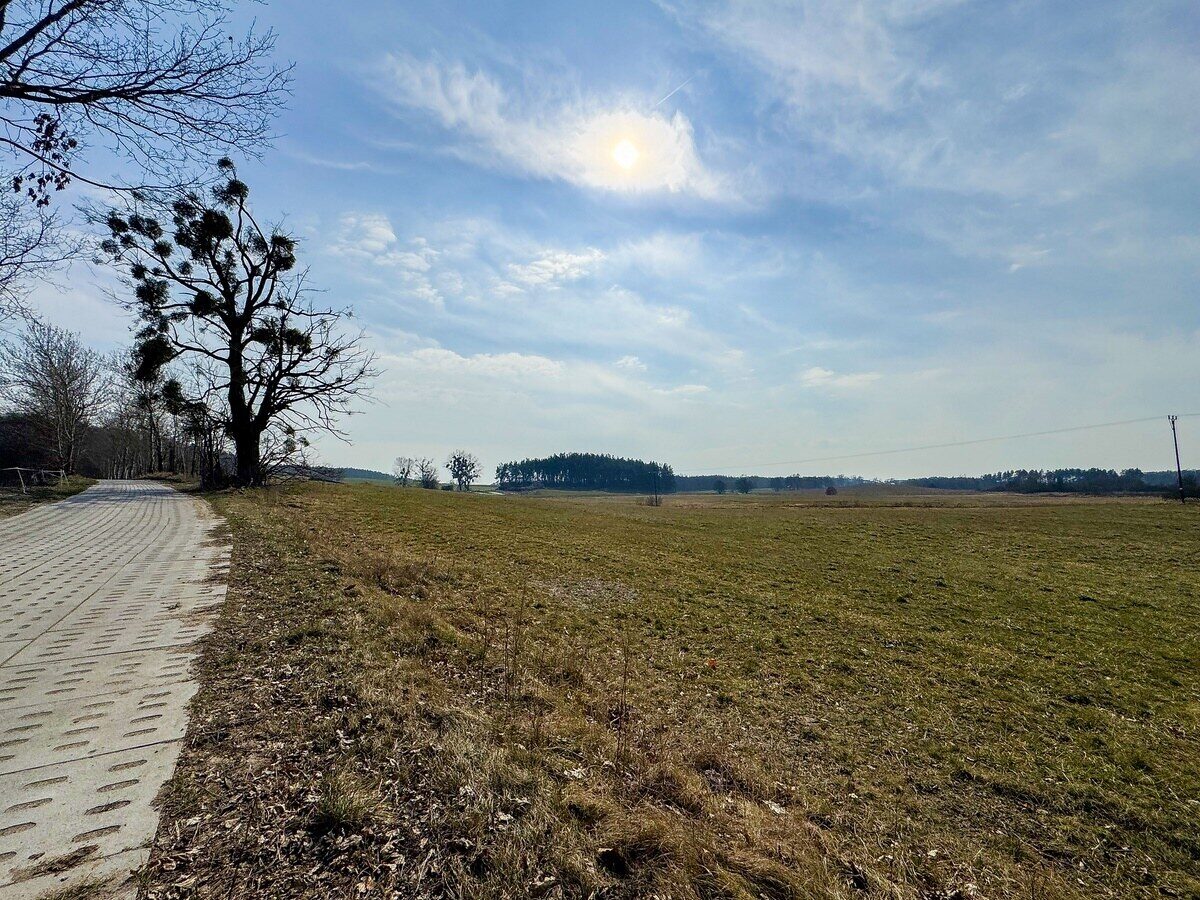 Zdjęcie 21