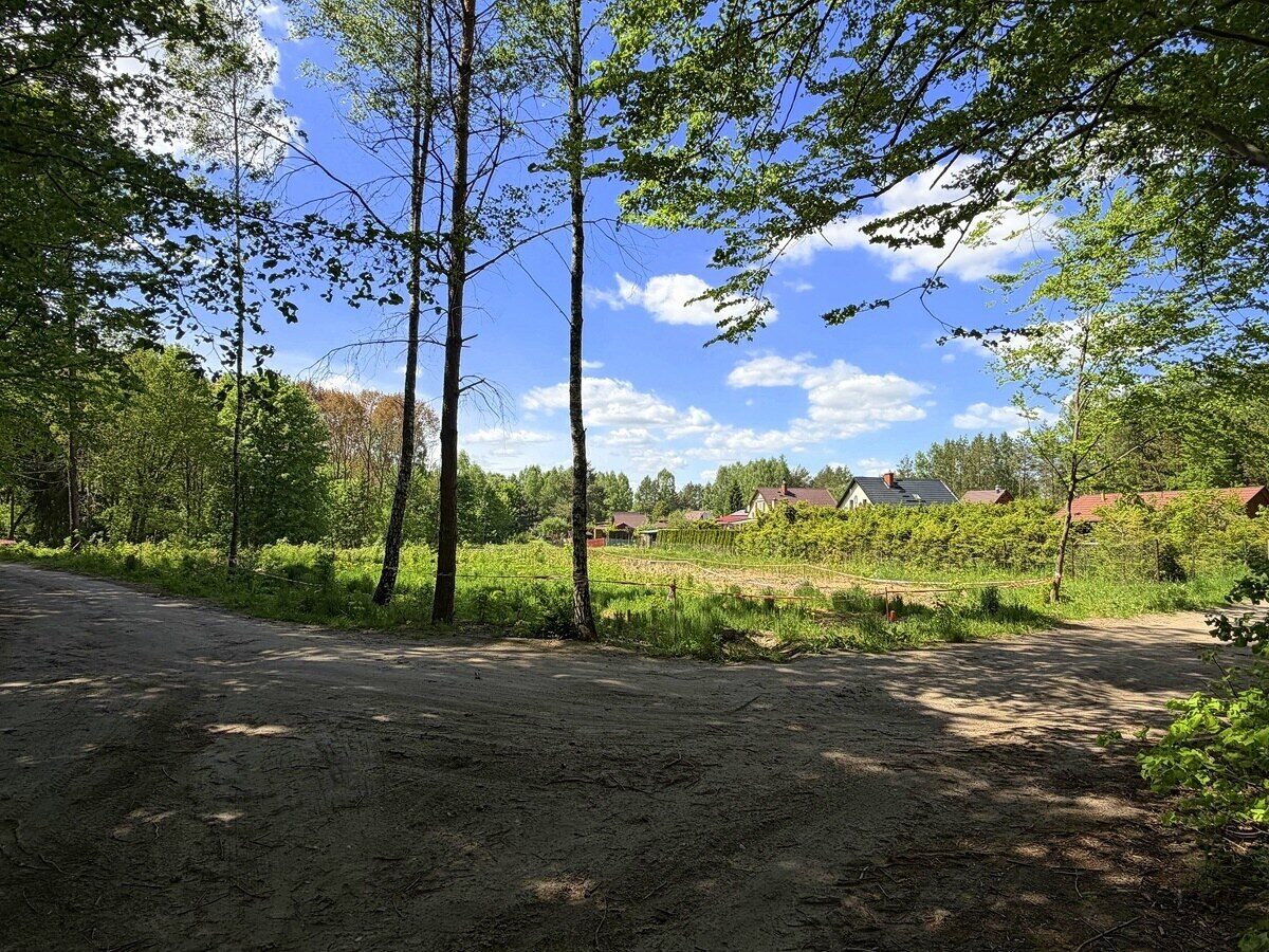 Zdjęcie 11